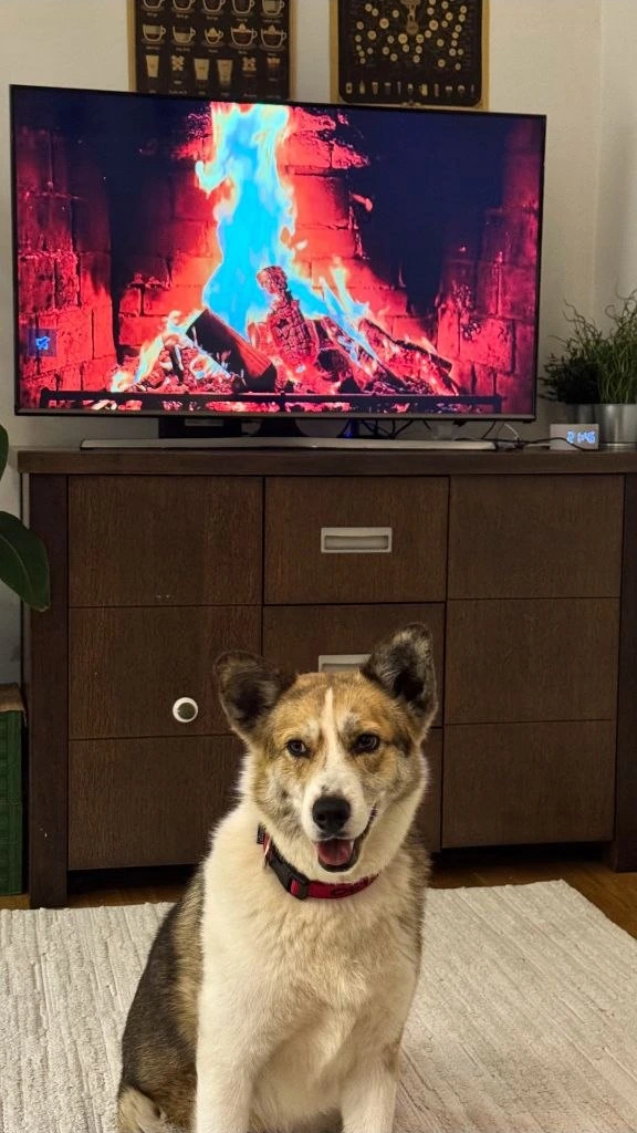 Я лежу на ковре, рядом телевизор