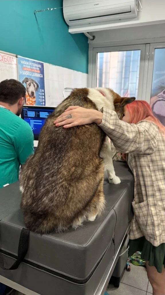 Я у ветеринара, Лена меня обнимает