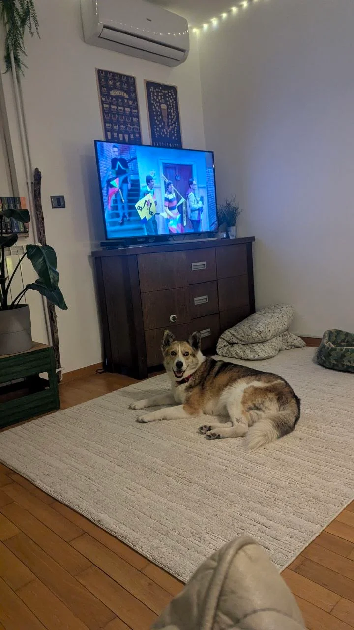 Я лежу на ковре, рядом телевизор