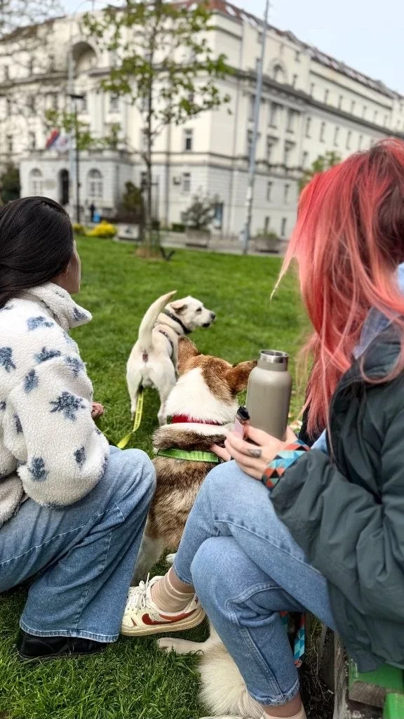 Я в парке с друзьями