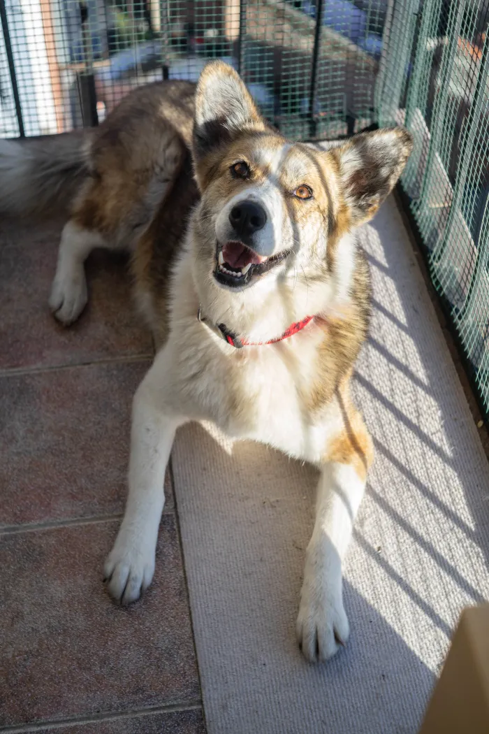 Я лежу на балконе на солнышке