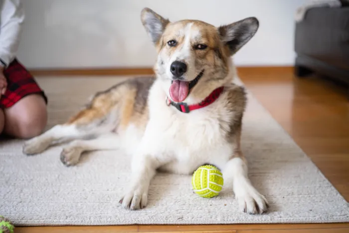 Я с теннисным мячиком