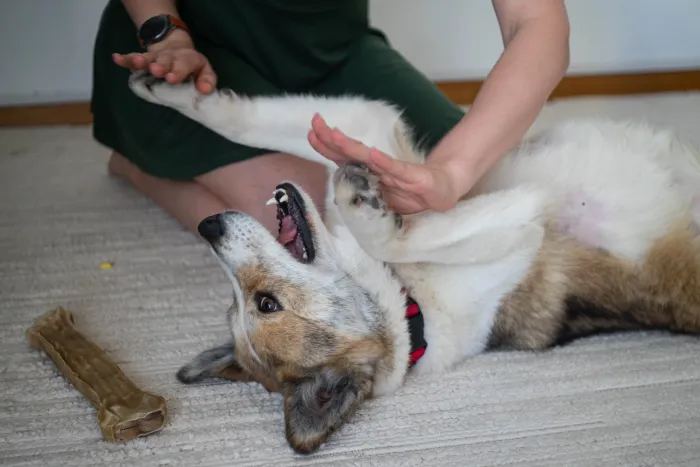 Я лежу на спине, мне делают массаж живота