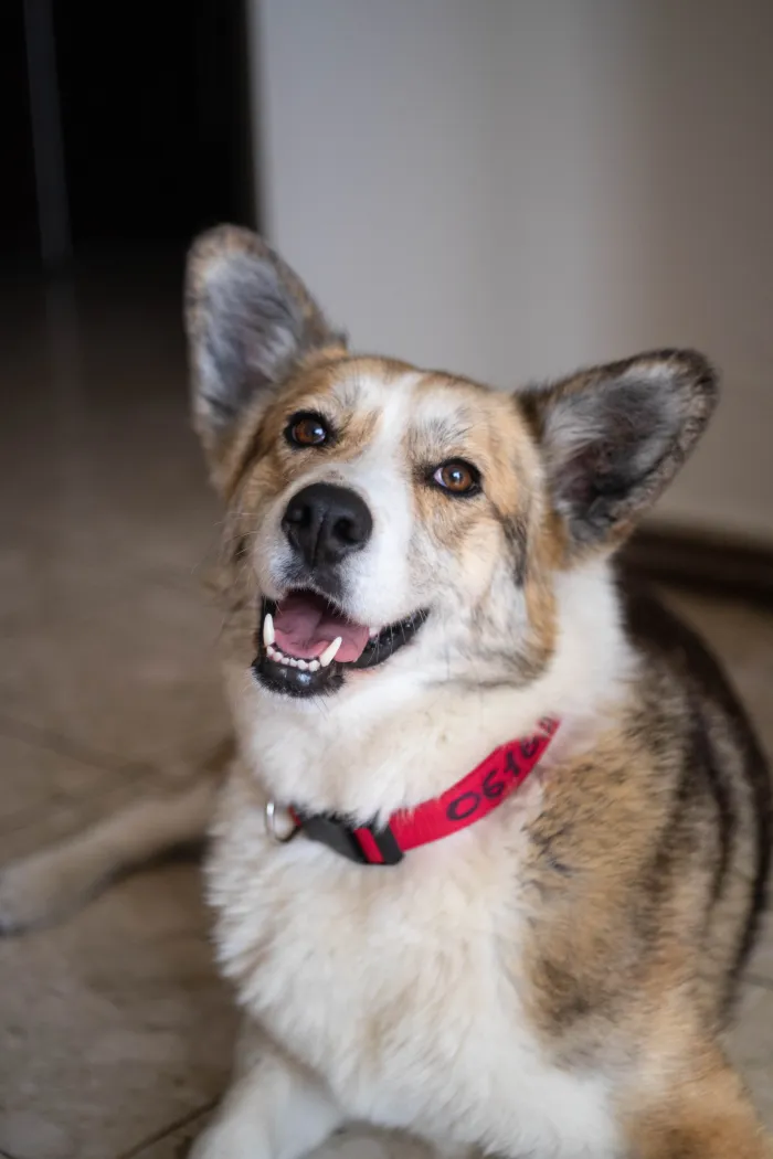 Я смотрю в камеру